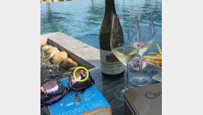 이수경 인스타그램 사진…와인잔 두개+선글라스에 비친 남자 누구?