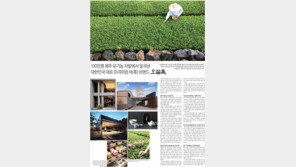 [Healing&]제주 유기농 차밭에서 일궈낸 프리미엄차 오설록