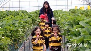 2만명 찾은 ‘딸기 삼촌’… 체험을 파니 아이들이 몰려와요