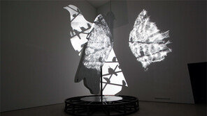 야릇하고 나른한 비둘기의 심상들