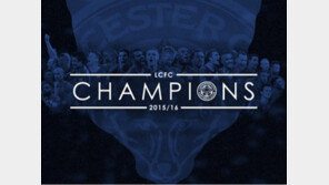 레스터시티, ‘5000분의 1’ 확률 뚫고 창단 132년 만에 EPL 첫 우승…2500억 ‘돈방석’