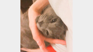 이성경 “일어나 일어나 뽀이. 냉장고를 부탁해 봐야지이” 본방사수 앞두고 ‘인증샷’