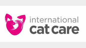 고양이 집사가 옥시 '데톨'을 안써도 되는이유