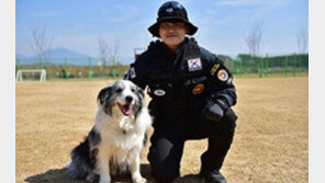 중앙119구조본부, 인명구조 훈련견 구매