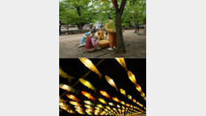 [부처님오신날]진주유등제 ‘솟대’… 인제 빙어축제 ‘물고기등’… 각양각색의 화려한 등으로 마음을 밝히다