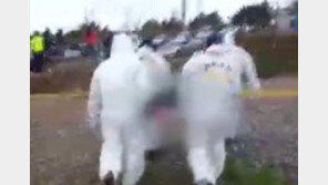 [속보]안산 대부도 ‘시신훼손 사건’ 용의자 검거, 피해자 동거男…“범행 자백”