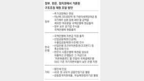 정부-한은 ‘정책 조합’ 맞추기 구체화… 구조조정 재원조달 방안 10여가지 거론