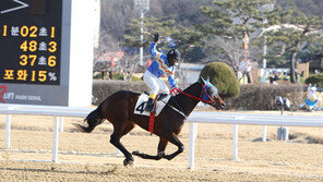 박태종 기수 2000승 마케팅