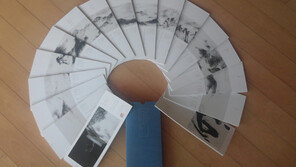 [Culture diary] 지리산에서 백두산까지…병풍처럼 펼쳐진 백두대간