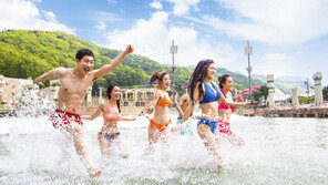 [Biz gallery] 대명리조트-페이코 제휴 워터파크 할인
