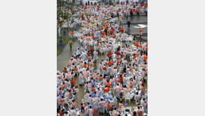 ‘태후’ 송혜교처럼… 유커 4000명 “삼계탕 딩하오”