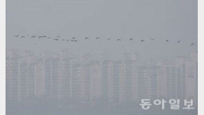 서울 ‘미세먼지 주의보’ 발령 12시간 만에 해제…“계속 유의” 당부