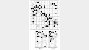 [바둑]제49기 아마국수전… 천려일실(千慮一失)