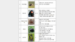 ‘귀하신 몸 베스트10’에 뽑힌 동물은?