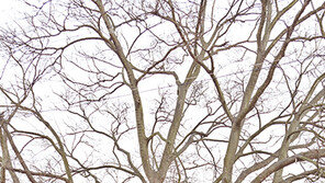 유준상 할아버지의 일기장 ‘특별한 것 없는 기록, 뜻 깊은 인생’