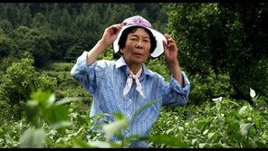 배우 김진구 별세 소식에…‘함부로 애틋하게’ 측 “자막으로 애도할 것”