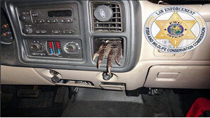 차 안에 불쑥 튀어나와 있는 것은? 악어 발!