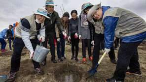 대한항공, 몽골서 나무심기 봉사활동