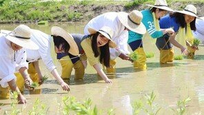 신나는 모내기 체험