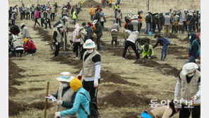 몽골 황무지를 10만그루 푸른 숲으로 