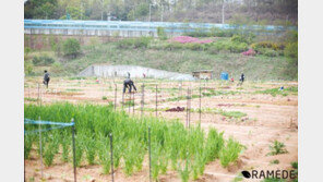 흥덕 나눔 텃밭 ‘흙에서 얻은 행복’