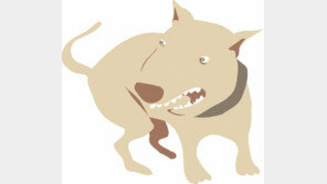 귀요미 개 만지려다 물리지 않으려면