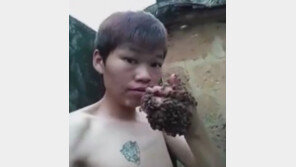 [영상] 맨손으로 벌 한 움큼 쥐더니 입에 털어넣는 남성 