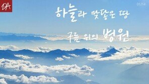 [카드뉴스] 하늘과 맞닿은 땅, 구름 위의 병원