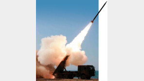 7차 당대회로 본 북한 핵 전략