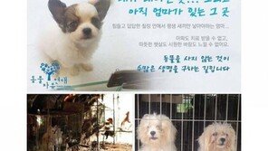 "강아지 공장 없애주세요"