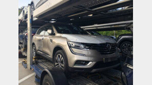 르노 꼴레오스, 의외의 장소서 국내 첫 포착 ‘르노 엠블럼 고스란히’ 