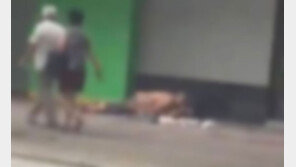 대낮 도심 한복판서 성관계, 아무도 안 말려 ‘더 충격’ 