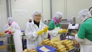 ‘회오리감자’ 특허취득 개발자, 길거리 유사품 막지 않는 이유는…