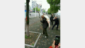 거대 물고기 낚은 노인 등장에 주변 시민들 ‘찰칵’