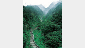 ‘황제의 길’ 태산, 1600개 돌계단에 다리가 후들