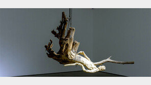 작품 하나하나, 처절한 비극의 독백