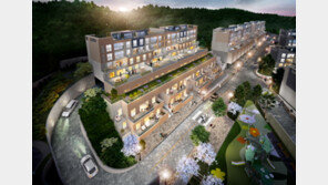 효성, 이달 수지 최초 전 세대 테라스 하우스 분양