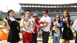 SK와이번스, 올해도 도그데이..'29일 개와 함께'
