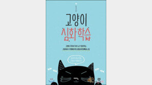 고양이 심화학습