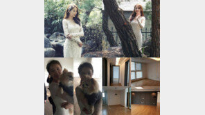 결혼하는 임수정은 가수 시현, SNS 보니…웨딩화보+인테리어 공사 ‘결혼준비 한창’