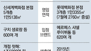 유통맞수 신세계-롯데, 면세점 명동대전 개막