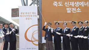 디젤 발전기 쓰던 외딴섬, 친환경 에너지 자립섬으로