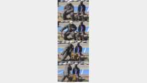 흉기에 맞서 주인 생명을 지키는 개, 감탄