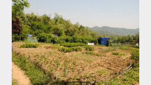 [화제의 분양현장] 그린벨트 해제 간소화, 하남 부동산 시장 들썩 