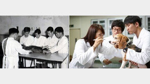 50년전 동물병원 모습