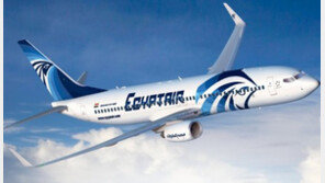 ‘의문의 추락’ 이집트 여객기 잔해 발견, 승객 소지품 추정 부유물도…테러가 원인?