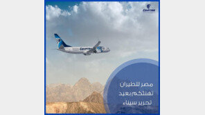 실종 이집트 여객기 지중해 그리스섬 인근 추락? “잔해 발견 안 돼”