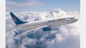 이집트 여객기 실종 원인 도무지…“이유없이 떨어지지 않는데” 테러 가능성은?