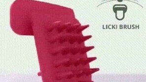 고양이 사랑하면 핥아줘라?..화제의 `그루밍 빗`