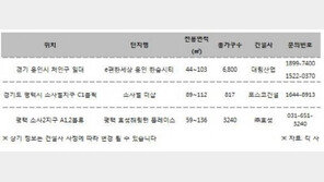 서울 전셋값보다 저렴한 경기권 아파트 인기